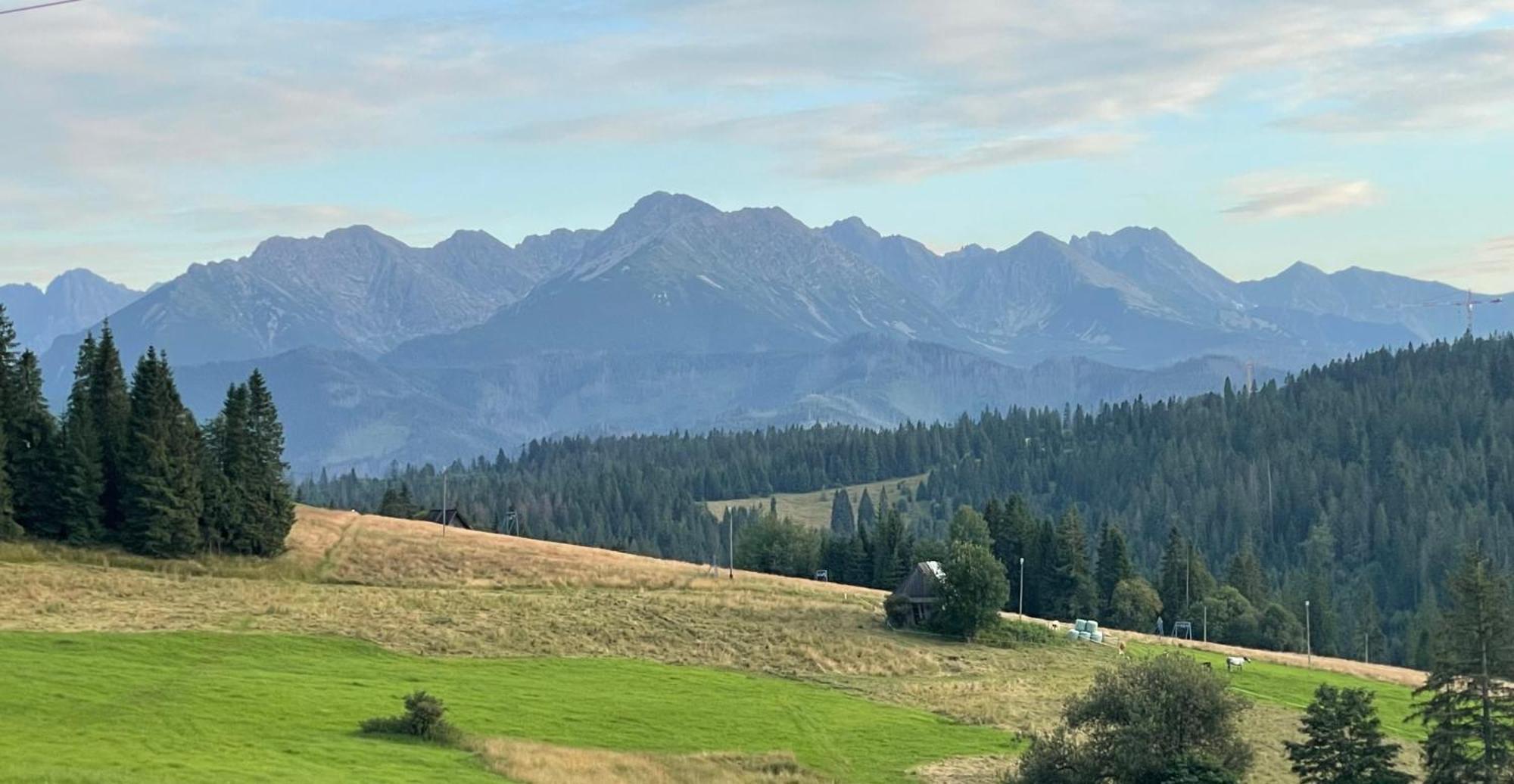 Willa Marysin Bukowina Tatrzanska Bagian luar foto